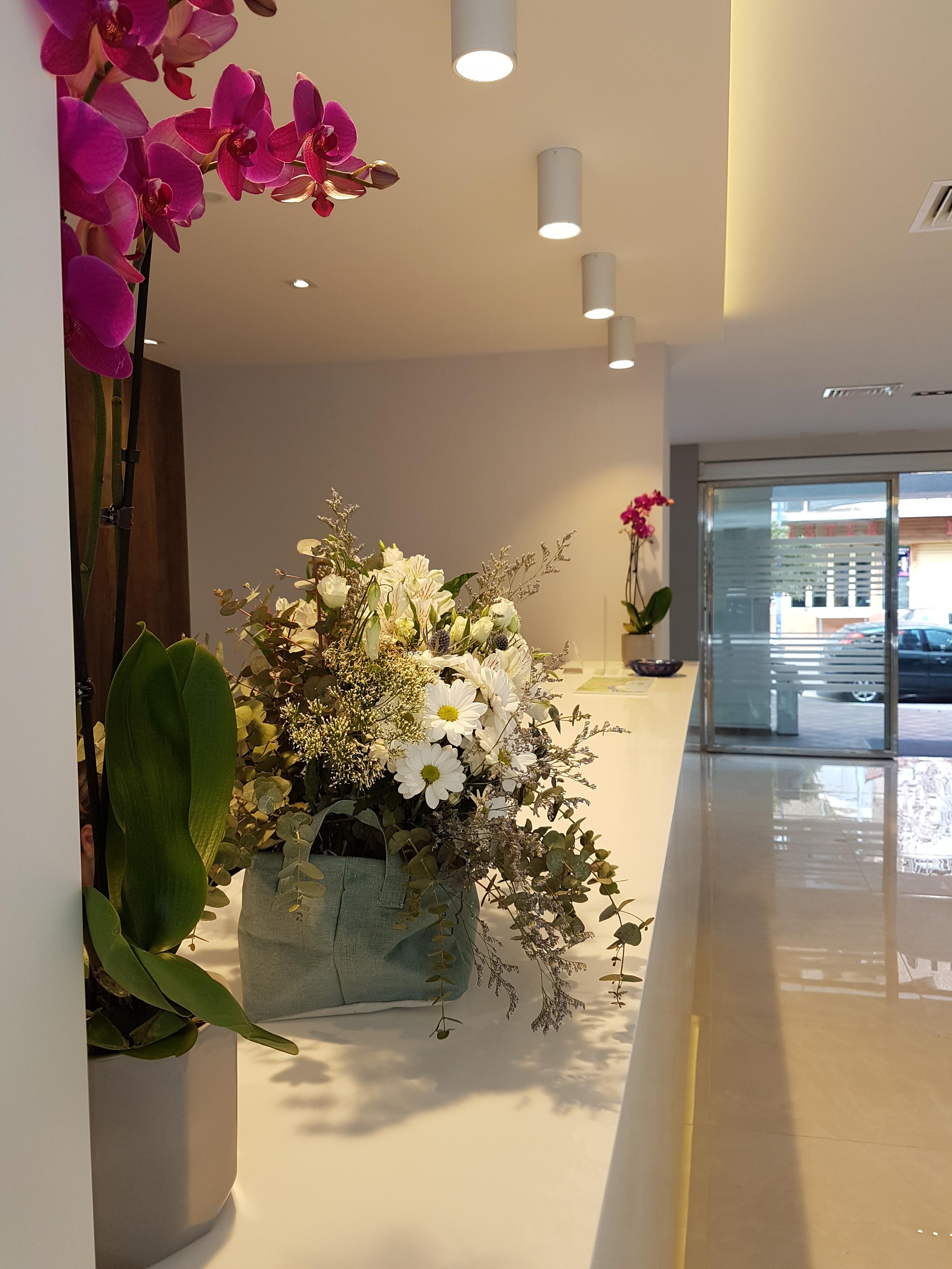 Hotel Perla Benidorm Ngoại thất bức ảnh